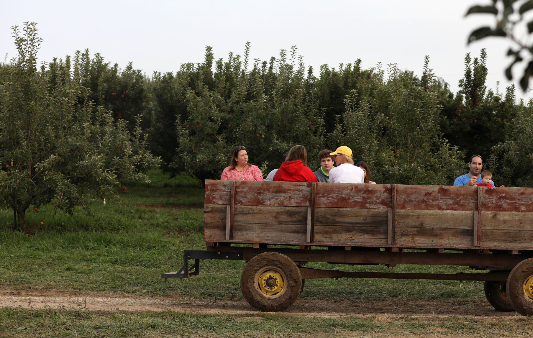 Visitors ride to the parking lot